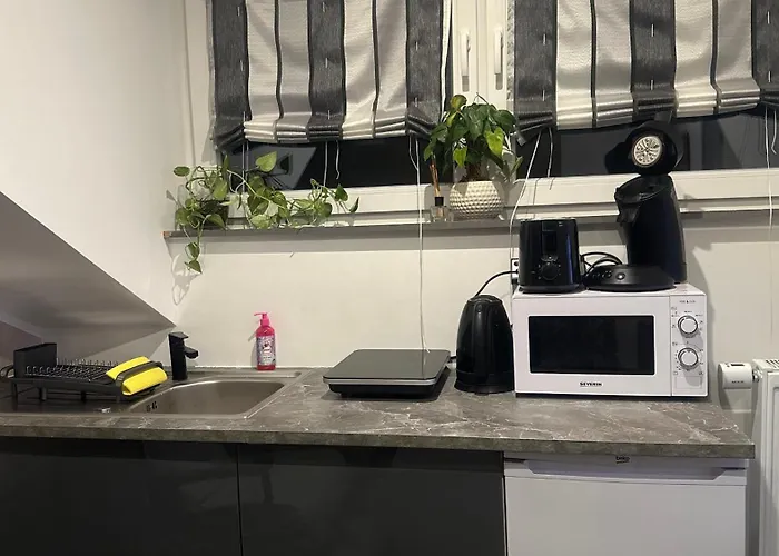 Lejlighed Bina Ferien-apartments Trier